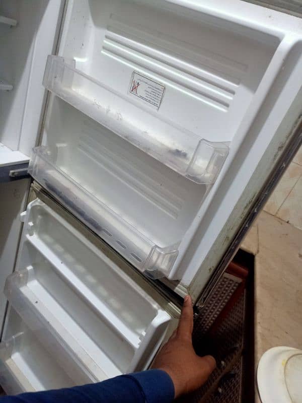 pel refrigerator 4