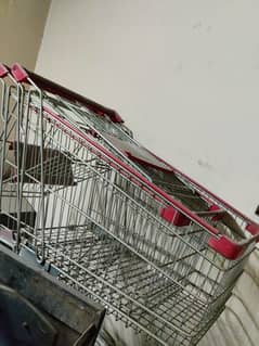 grocery trolly