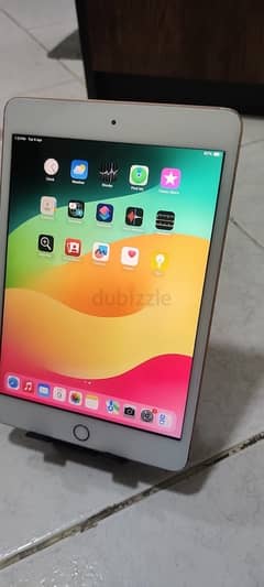 ipad mini 5