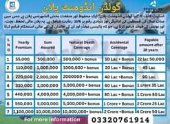 state life Islamic window takaful