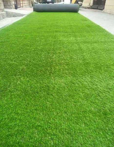 Artificial grass,Blinds,media wall, wodden floor, pop celling, pannels 3