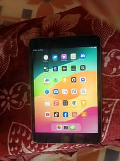 iPad mini 5