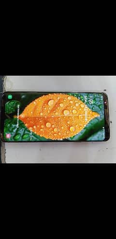 S9 plus 6gb 64gb official pta aproved single sim