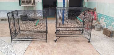 Raw & Grey Parrots Cages