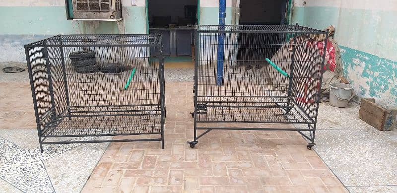 Raw & Grey Parrots Cages 0