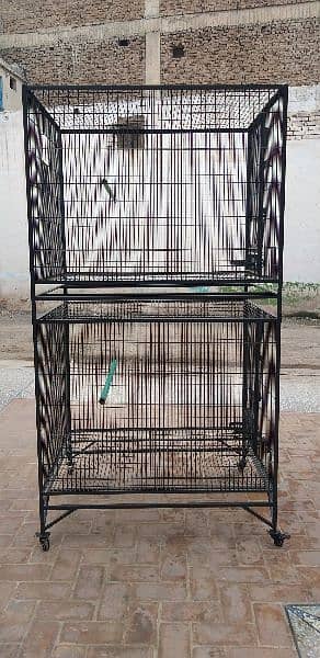 Raw & Grey Parrots Cages 3