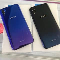 vivo