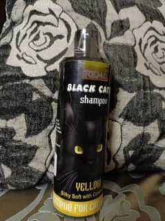 Cat Shampoo