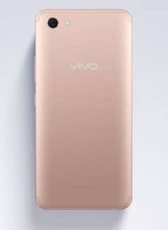 vivo