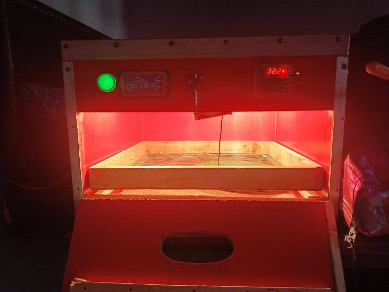 Incubators for haching eggs for urgent sale 1