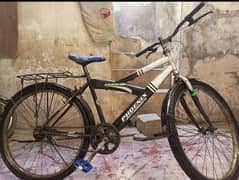 26" inch size Phoenix cycle urgnt sel