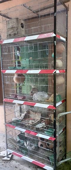 Parrots Cage for Sale