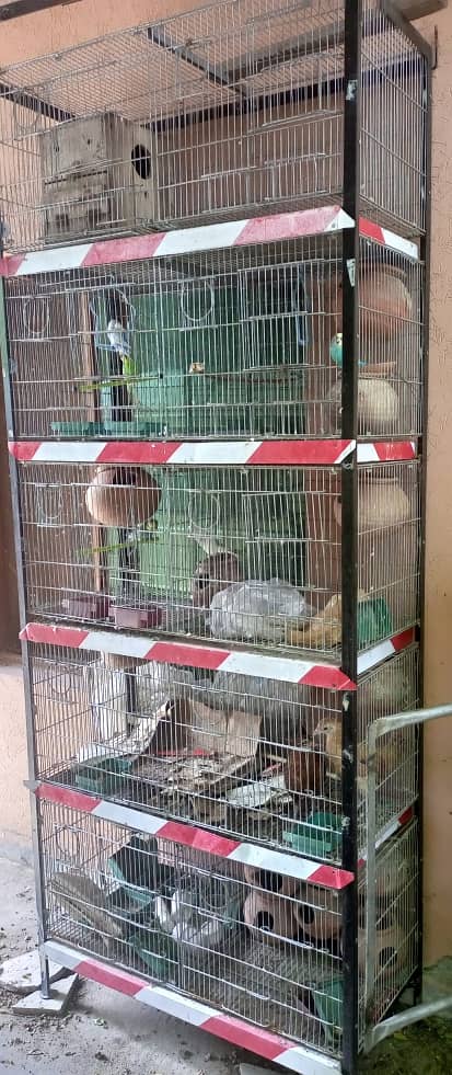 Parrots Cage for Sale 0