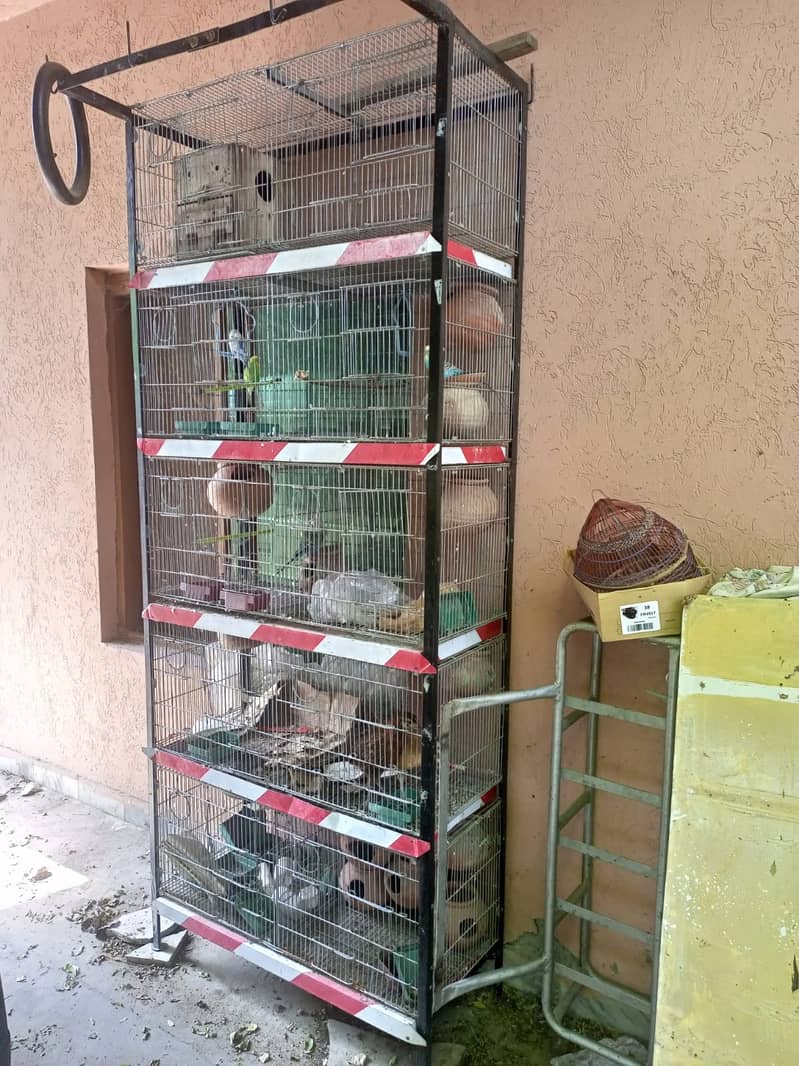 Parrots Cage for Sale 1