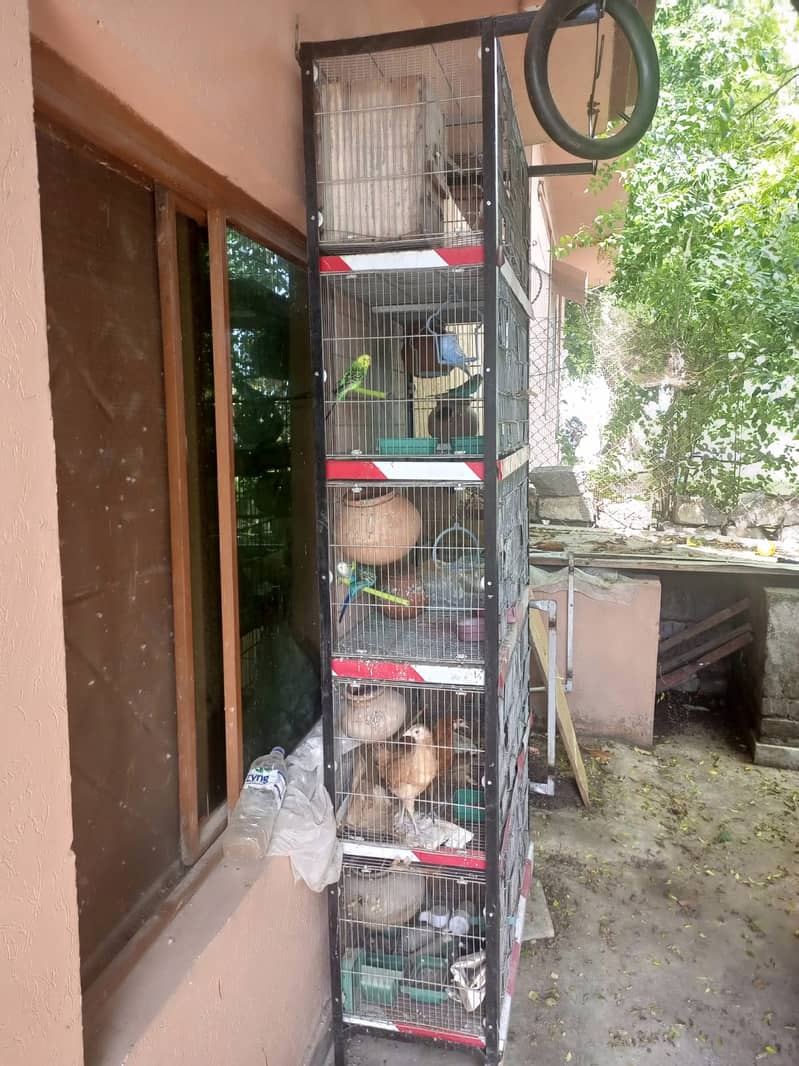 Parrots Cage for Sale 2