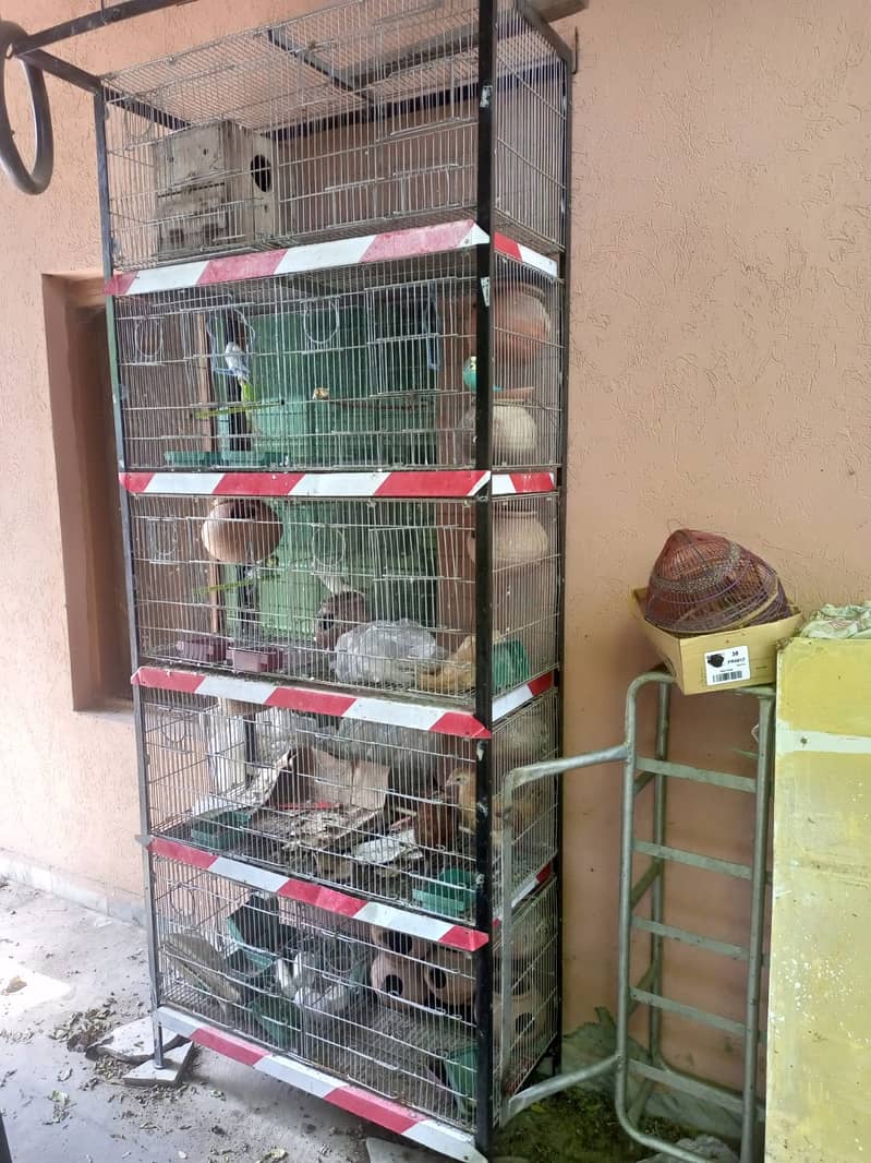 Parrots Cage for Sale 3