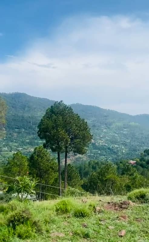 07 Marla Corner Possession Plot For Sale in Murree 3