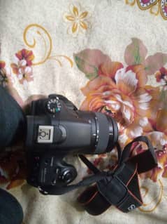 NEW SONY DSLR 10/10