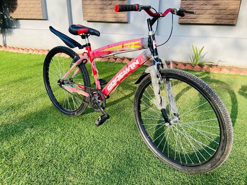 brand new Goodwin MTB 26inch 5