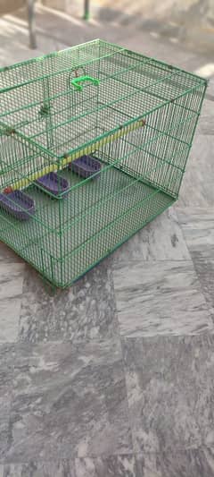 parrot Cage