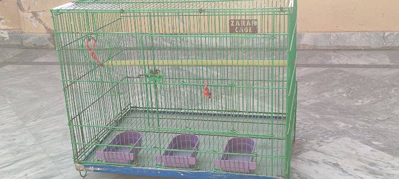 parrot Cage 2