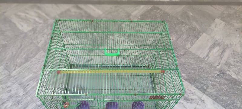 parrot Cage 4