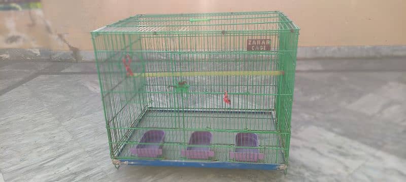 parrot Cage 5