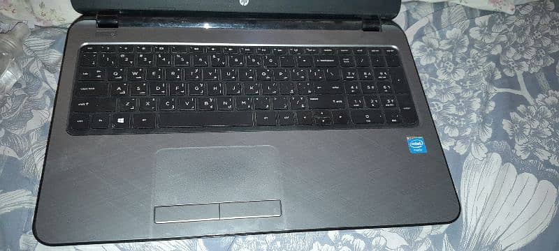 hp laptop read add 2