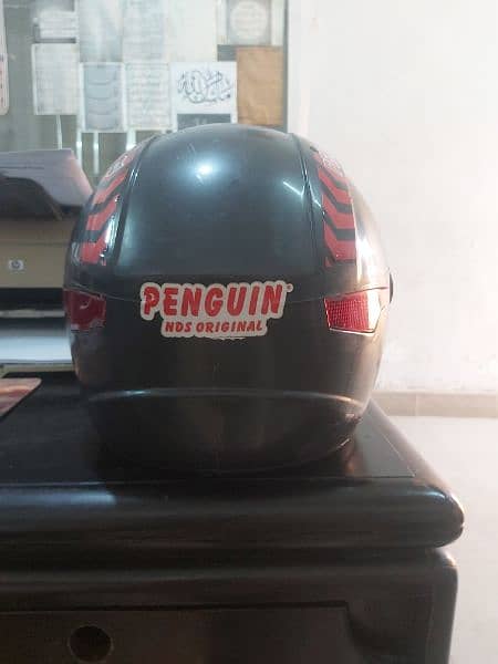 Penguin Helmet 1