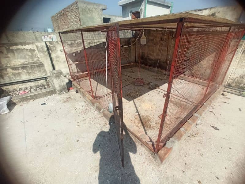 Big Cage For sale Best For Birds Colony - Hens - Big Pinjra 2