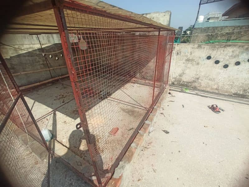 Big Cage For sale Best For Birds Colony - Hens - Big Pinjra 3