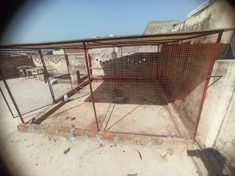 Big Cage For sale Best For Birds Colony - Hens - Big Pinjra 5