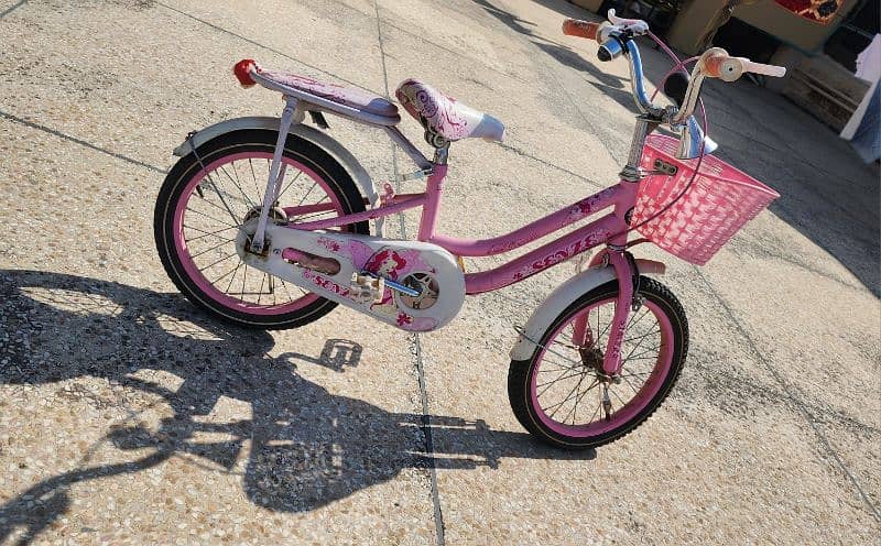 Kids Bicycle with Supporting Wheels and Stand 1