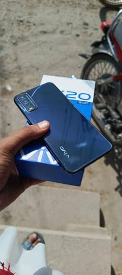 vivo