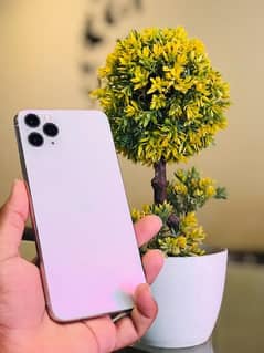 iPhone 11 Pro Max