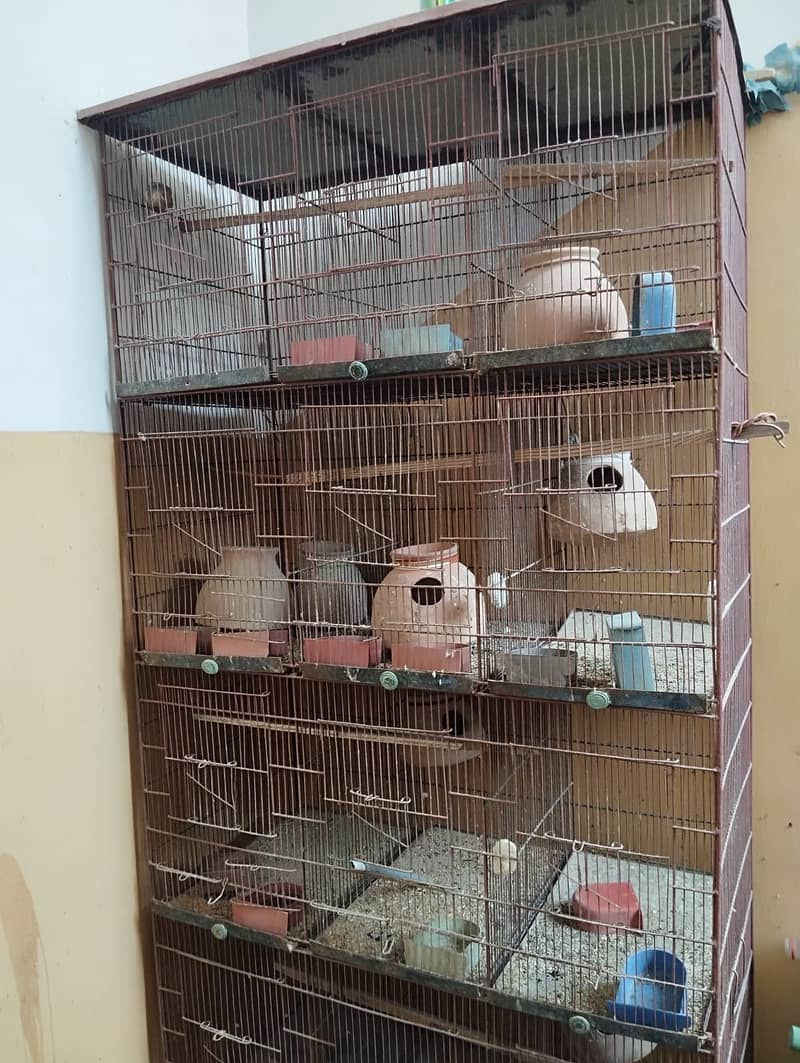 Birds Cage 1