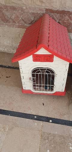 Dog,  Cat house, Birds Travel Cage