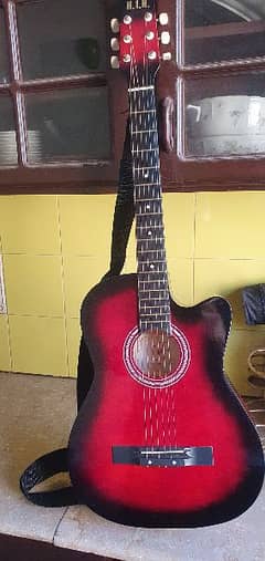 Guitar with Cover 0