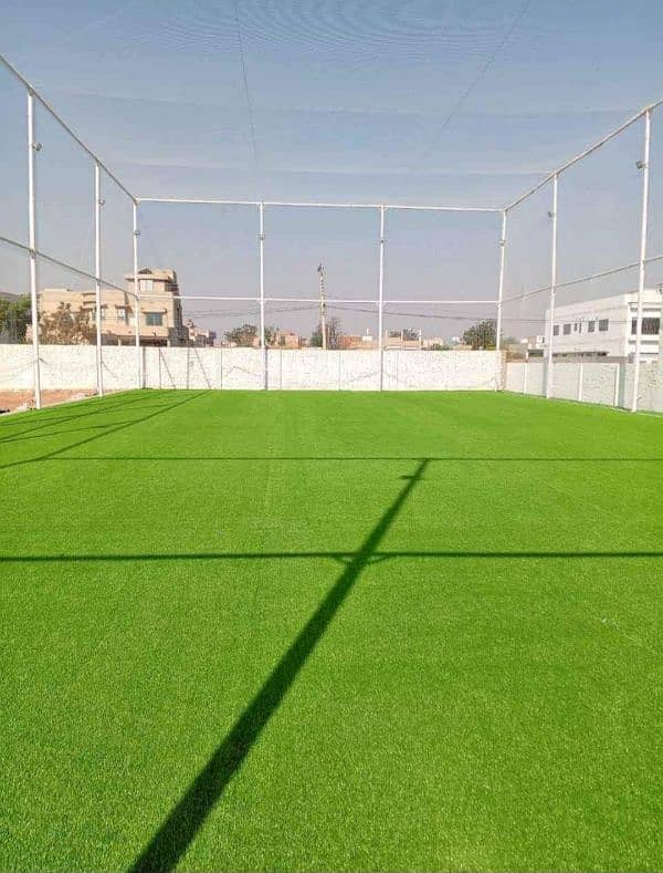 Artificial Grass Carpet/AstroTurf. 2