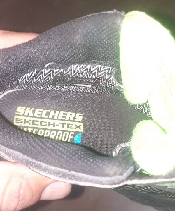 skechers original shoes 6