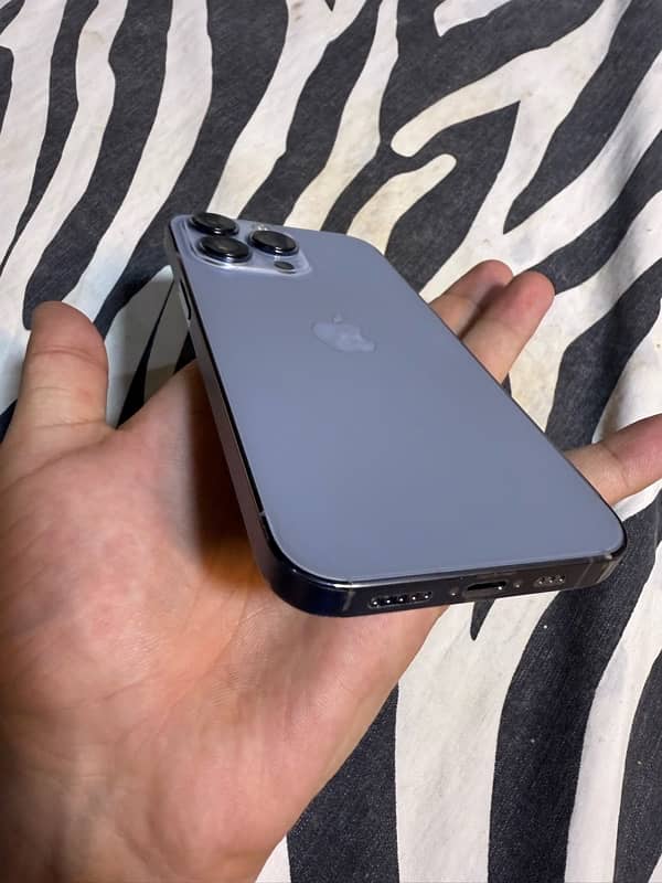 iphone 13 pro approved 1