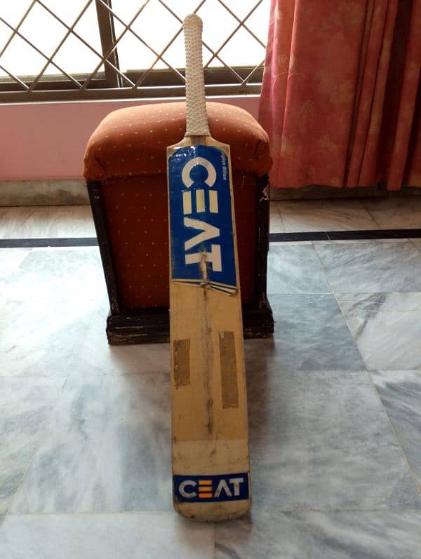 cricket bat 1