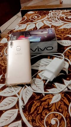 vivo