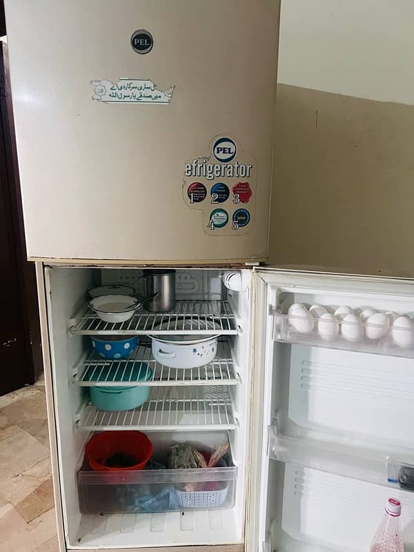 PEL FRIDGE FOR SALE 250 Litter capacity in perfect condition 3