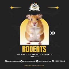 We Have All Kind Of Rodents.