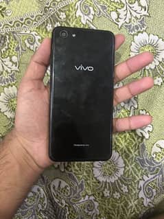 Vivo