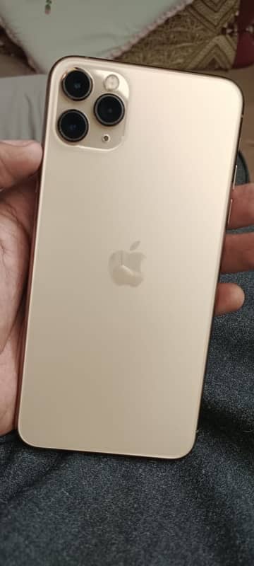 IPHONE 11 Pro Max WATTER PAK 1