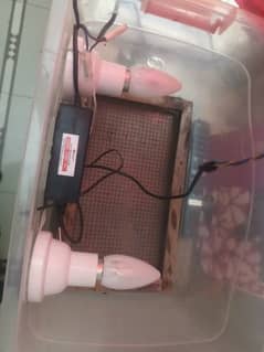 semi automatic incubator