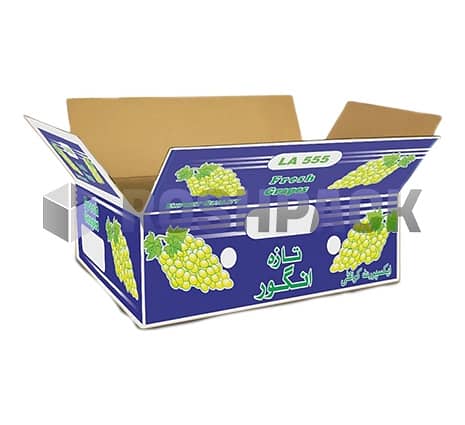 Online Carton Box 7