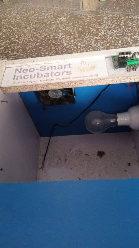 Incubator 5